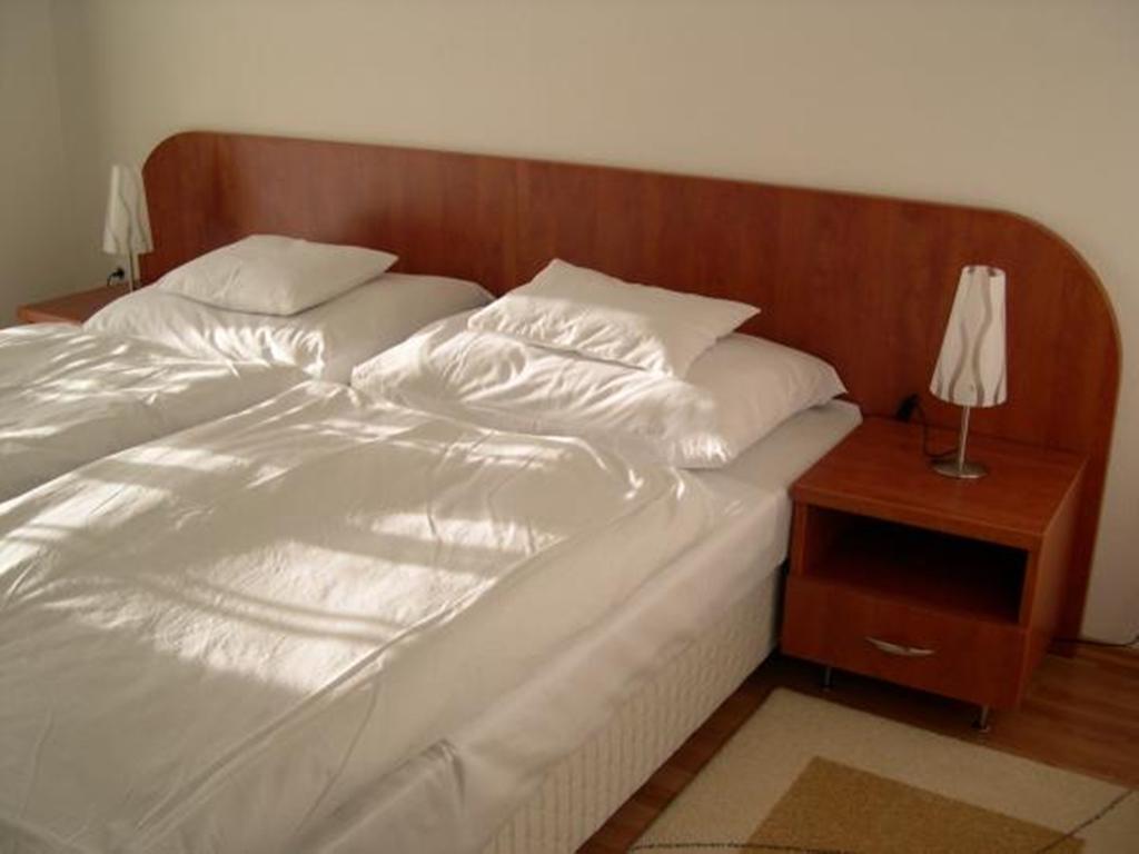 Hotel Pontis Biatorbágy Pokoj fotografie